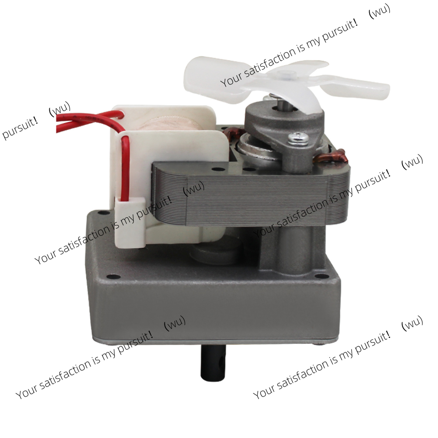 Motor Auger Pengganti 220V 2.0 - Electric Smoker Bbq ulasan dan harga